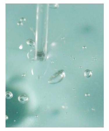 round lab Serum from inflammation acne and rosacea - Buy Online on GoSupps.com