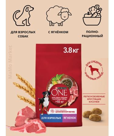 PURINA ONE Dry food dry 3.8 kg with lamb and rice