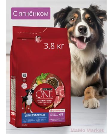 PURINA ONE Dry food dry 3.8 kg with lamb and rice - Buy Online on GoSupps.com