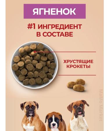 PURINA ONE Dry food dry 3.8 kg with lamb and rice - Buy Online on GoSupps.com