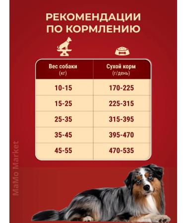 PURINA ONE Dry food dry 3.8 kg with lamb and rice - Buy Online on GoSupps.com