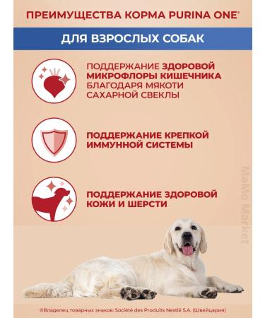 PURINA ONE Dry food dry 3.8 kg with lamb and rice - Buy Online on GoSupps.com