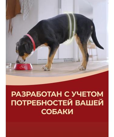 PURINA ONE Dry food dry 3.8 kg with lamb and rice - Buy Online on GoSupps.com