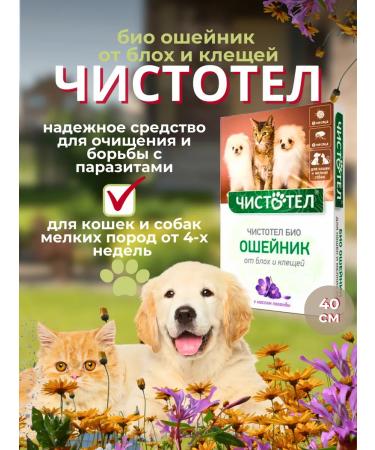 In the animal world Bio collar from fleas and ticks for cats and dogs