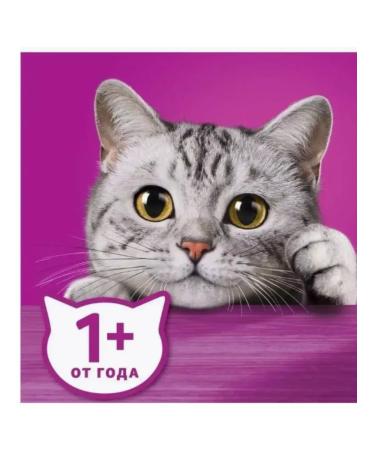 WHISKAS Dry food for cats paste pads beef 1.3 kg - Buy Online on GoSupps.com