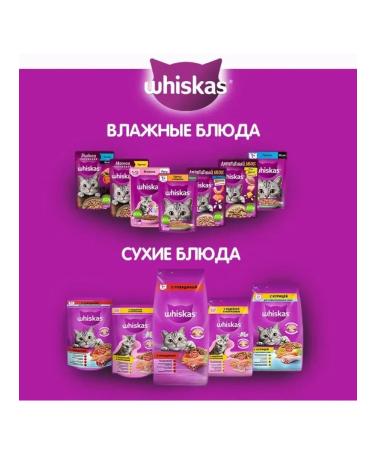 WHISKAS Dry food for cats paste pads beef 1.3 kg - Buy Online on GoSupps.com