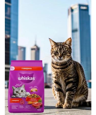 WHISKAS Dry food for cats paste pads beef 1.3 kg - Buy Online on GoSupps.com