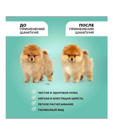 LUIR Dog washing shampoo 460 ml - Buy Online on GoSupps.com