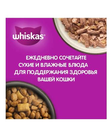 WHISKAS Dry food for cats paste pads salmon 1.3 kg - Buy Online on GoSupps.com