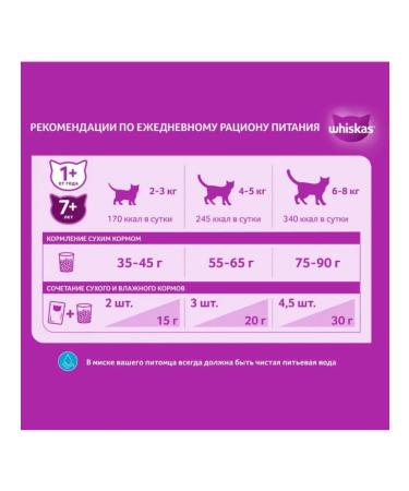 WHISKAS Dry food for cats paste pads salmon 1.3 kg - Buy Online on GoSupps.com