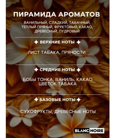 Blanc Noire Cream for body and hands perfumed tobacco vanilla 250 ml - Buy Online on GoSupps.com