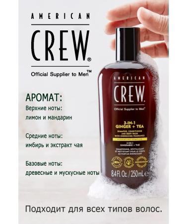 American Crew Ginger 3 in 1 shampoo air conditioning and shower gel 250ml - Buy Online on GoSupps.com
