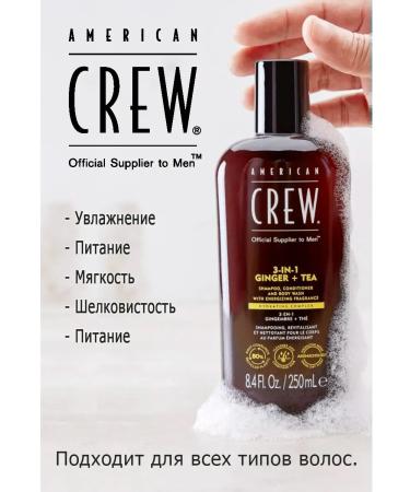 American Crew Ginger 3 in 1 shampoo air conditioning and shower gel 250ml - Buy Online on GoSupps.com