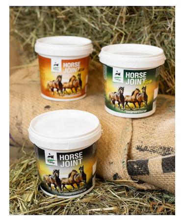 Hidalgo Horse Joint chondroprotector 500 gr - Buy Online on GoSupps.com