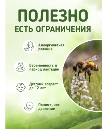 Native herbs Aspen Bow Powder General natural phyatomuka - Buy Online on GoSupps.com