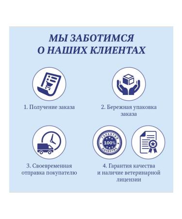 VET CARE Popon postoperative for cats average 3-5 kg - Buy Online on GoSupps.com