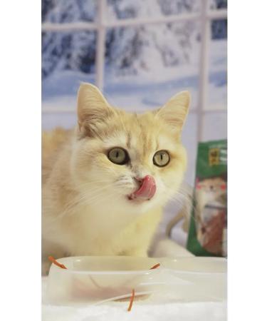 Japan Premium Pet Cotton treats cut with chicken 50g - Buy Online on GoSupps.com