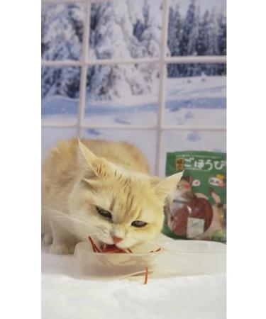 Japan Premium Pet Cotton treats cut with chicken 50g - Buy Online on GoSupps.com