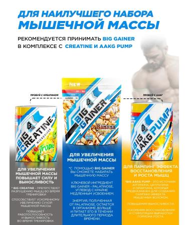 BIG Gainer for gaining mass high -white carbohydrate without sugar - Buy Online on GoSupps.com