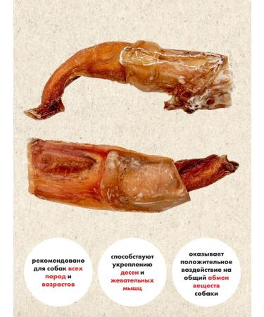 GRIZGO Bull Root XS - Buy Online on GoSupps.com