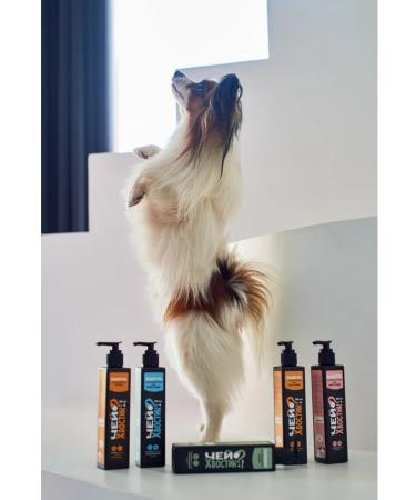Whose tail Hypoallergenic shampoo for dogs and cats - Buy Online on GoSupps.com