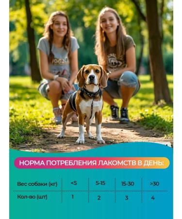 Favet Superflora Soft Chews treat for dog digestion - Buy Online on GoSupps.com