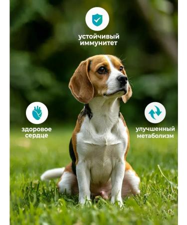 Ferrumactive Soft Chews treat for dog immunity - Buy Online on GoSupps.com