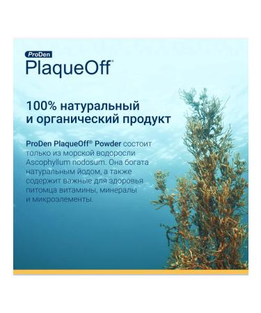 ProDen PlaqueOff Tooth stone prevention agent 40 g - Buy Online on GoSupps.com