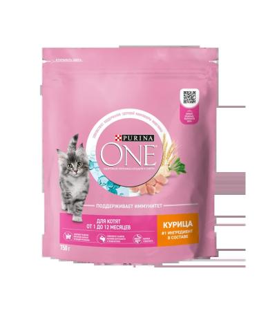 PURINA ONE Dry food for kittens 750g
