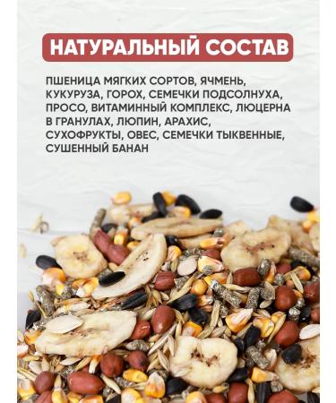 GRANOFEED Dry premium food for rats and mice 1500 g - Buy Online on GoSupps.com