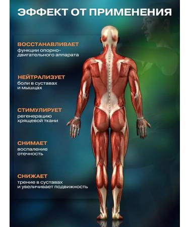 Healthy Family Siberia LLC Complex for joints and ligaments arthrotitan 12+ - Buy Online on GoSupps.com