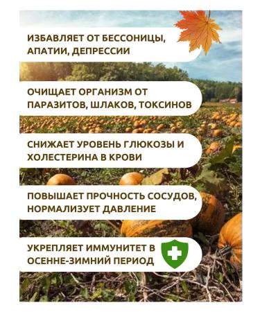 KRUPOVICHOK Pumpkin flour 10 kg - Buy Online on GoSupps.com