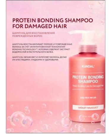 Kundal Hair shampoo Women Sur AISPECTION - Buy Online on GoSupps.com