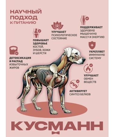 KUSMANN Dry food with lamb for dogs of small rocks 5 kg - Buy Online on GoSupps.com