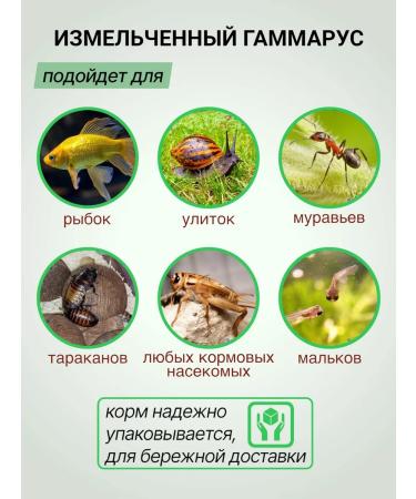 Futter Gammarus feed for snails chopped fish 100 grams - Buy Online on GoSupps.com