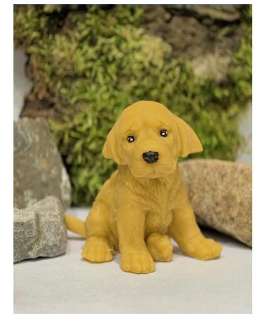 Soap Paradise Handmade soap. Dog - Buy Online on GoSupps.com