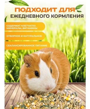 Lukomorye Feed for rodents universal - Buy Online on GoSupps.com