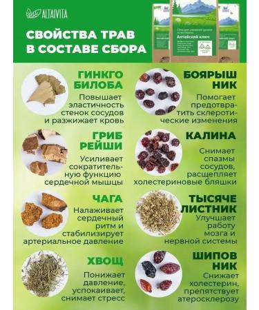 ALTAIVITA Herbal Tea Altai Key to cleanse blood vessels - Buy Online on GoSupps.com