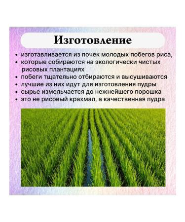 GEMIWAY Natural primer for face powder powder rice 5 g - Buy Online on GoSupps.com