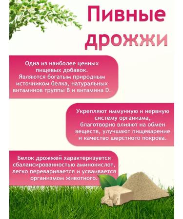 Fruit feeding for rodents 200 grams - Buy Online on GoSupps.com