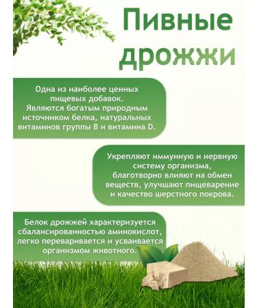 Zoomir Vegetable feeding stall for rodents 200 grams - Buy Online on GoSupps.com