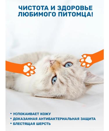 ZOORIK Shampoo for dogs and cats from smell antibacterial 250ml - Buy Online on GoSupps.com