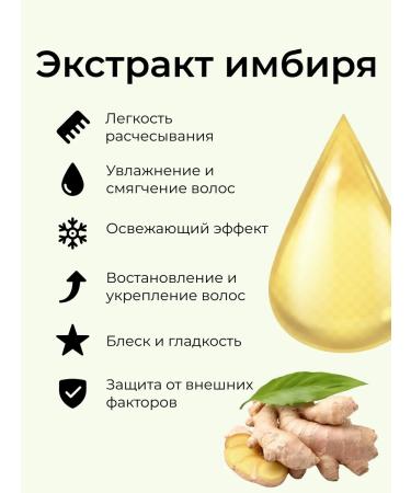 Wildbloom Essence Ginger conditioner for hair power supply - Buy Online on GoSupps.com