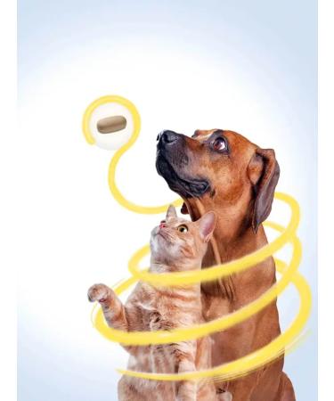 Milprazon For cats more than 2kg 2 tablets x16 mg - Buy Online on GoSupps.com