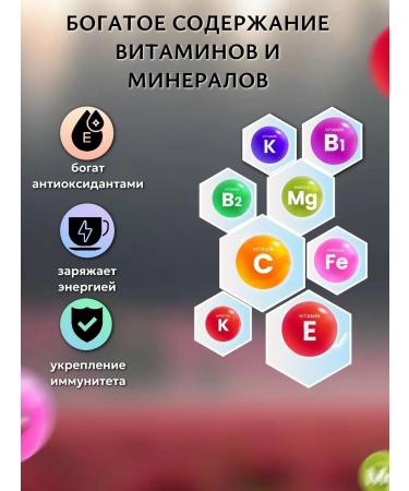 EMILTON Tea set Siberian collection 300g - Buy Online on GoSupps.com