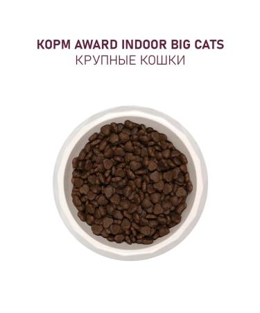 AWARD Dry food for cats beef chicken 1.5 kg - Buy Online on GoSupps.com