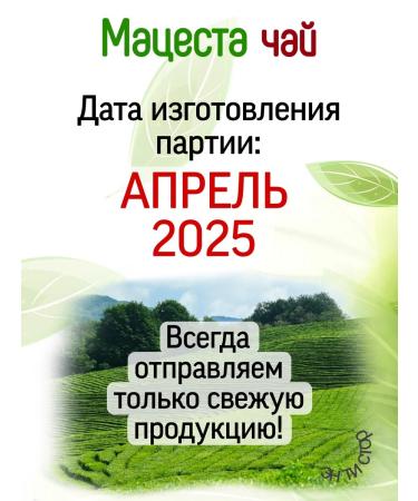 Matsesta tea Black tea with rosehip mint and currant - Buy Online on GoSupps.com