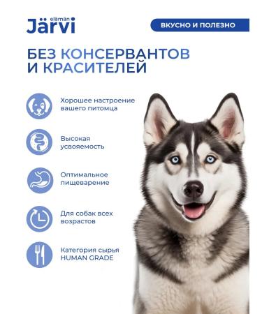 Jarvi elaman Wet feed for dogs. Paste with chicken 100 g x 28 pcs - Buy Online on GoSupps.com