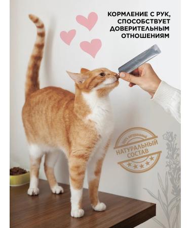 SECRET FOR PETS Cat a treat chicken and shrimp 450g - Buy Online on GoSupps.com
