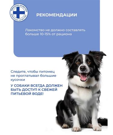 Jarvi elaman A treat for dogs and puppies "Beef Light" 40 g x 3pcs - Buy Online on GoSupps.com